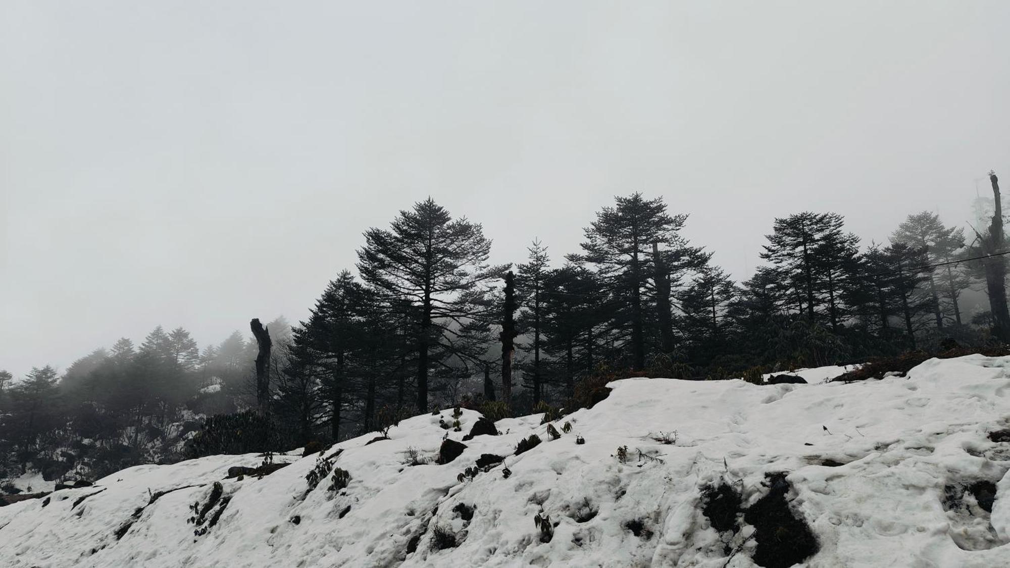 Mount Bayul Shangri-La Resort Lachung Esterno foto